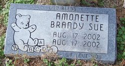 Brandy Sue Amonette 