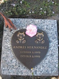 Andres Hernandez 
