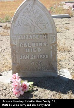 Elizabeth Calkins 