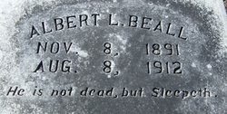 Albert Lee Beall 