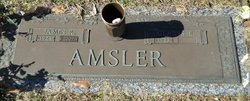 James Robert Amsler Sr.