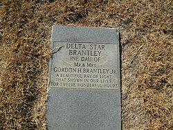 Delta Star Brantley 