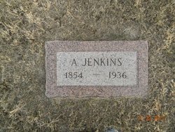 Anton Jenkins 