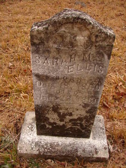 Sarah M. Ellis 