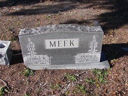 George W. Meek 