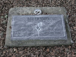 Armand A Beltramo 