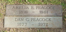 Amelia Elmira <I>Freeman</I> Peacock 
