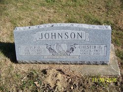 Chester T Johnson 