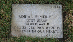 Adrian Elmer Bee 