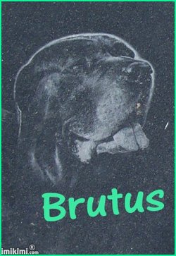 Brutus James “Dr. Snaxiums Maximus” Moore 
