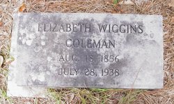 Elizabeth “Lizzie” <I>Wiggins</I> Coleman 