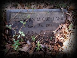 Seaborn M Copeland 