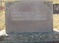 Alice <I>Molsbee</I> Gillenwaters 