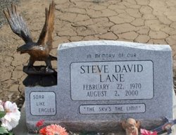 Steve David Lane 