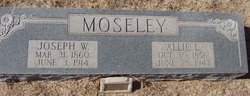 Joseph William Moseley 