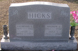 Anna Eliza <I>Foltz</I> Hicks 