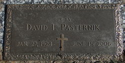 David Lawrence Pasternik 