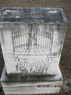 Dixie <I>Marshall</I> Agent 