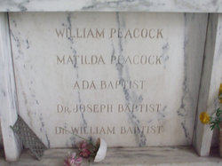 Dr William J. Baptist 