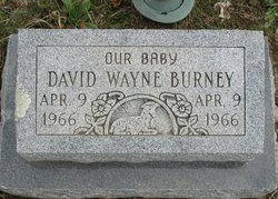 David Wayne Burney 