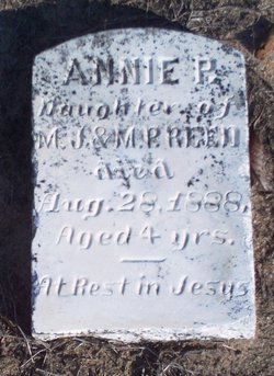 Annie P Reed 