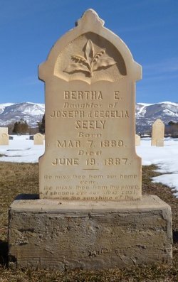 Bertha Elizabeth Seely 