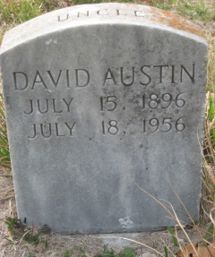David Austin 
