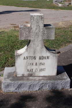 Anton Adam 