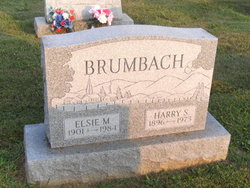 Elsie M. <I>Haldeman</I> Brumbach 