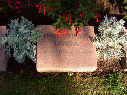 Henrik Johannes Lindroos 