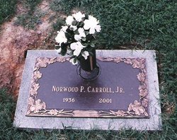 Norwood Phillip Carroll Jr.