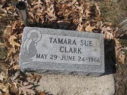 Tamara Sue Clark 