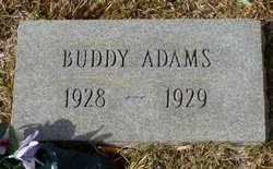 Buddy Adams 