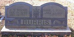 Frances E. “Fannie” <I>Allen</I> Burris 