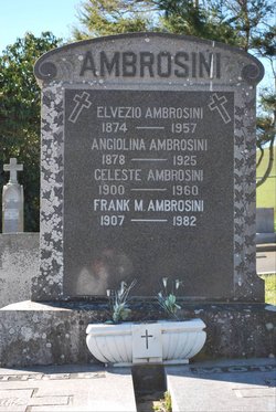Frank M. Ambrosini 