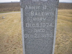 Annie B Baldwin 