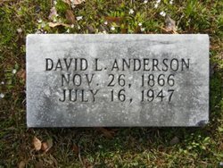 David L Anderson 