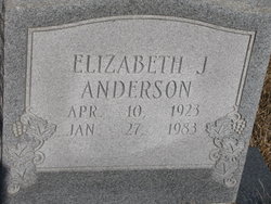 Elizabeth <I>Jones</I> Anderson 