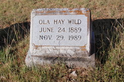 Ola <I>Hay</I> Wild 