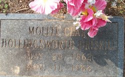 Mollie Clark <I>Hollingsworth</I> Driskill 