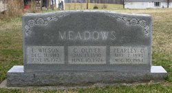 Edward Wilson Meadows 