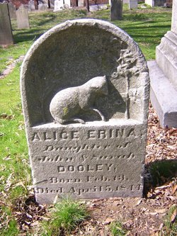 Alice Erina Dooley 