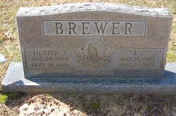 Hester A Brewer 