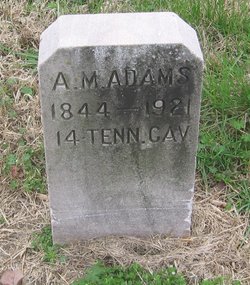 Albert Madison Adams 