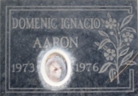 Domenic Ignacio Aaron 