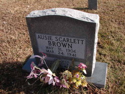 Ausie <I>Scarlett</I> Brown 