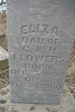 Eliza Flowers 