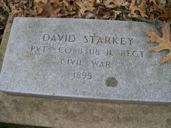 David Starkey 