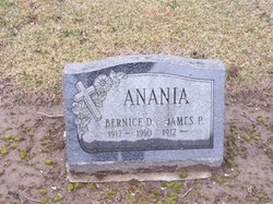 James P Anania Sr.