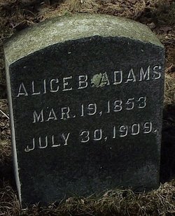 Alice B. <I>Perkins</I> Adams 